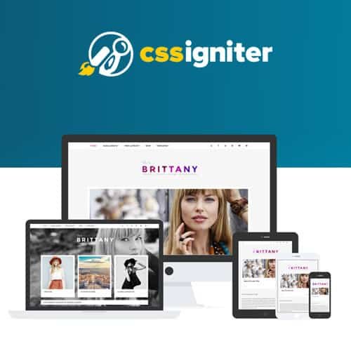 Тема WordPress CSS Igniter Brittany