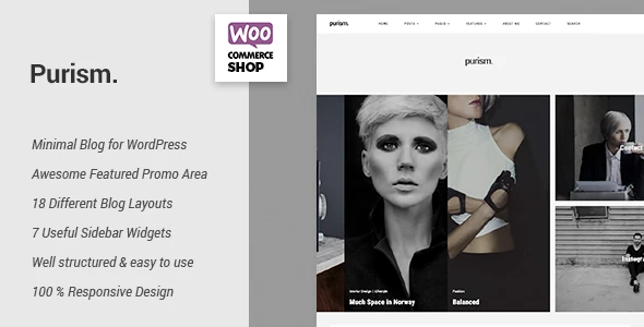 Purizmas – „WordPress“ tinklaraščio tema