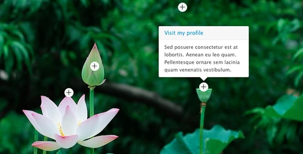 Плагин jQuery Hotspot с функцией слайд-шоу