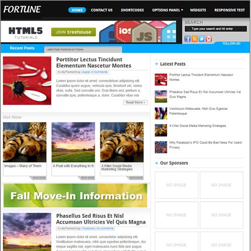 Тема WordPress MyThemeShop Fortune